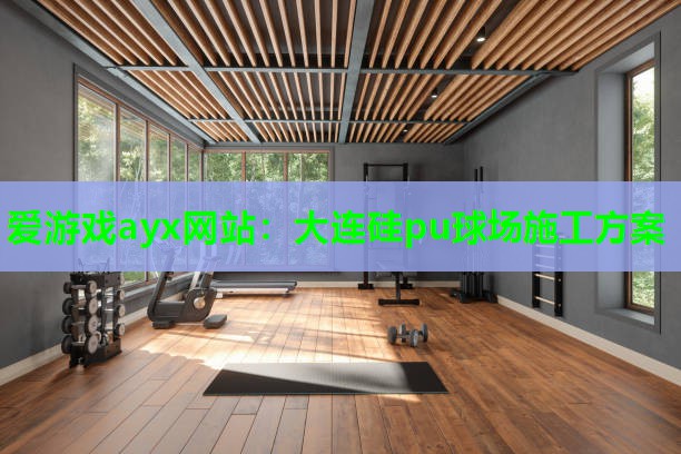 爱游戏ayx网站：大连硅pu球场施工方案