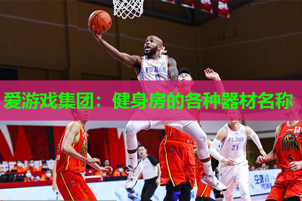 爱游戏集团：健身房的各种器材名称