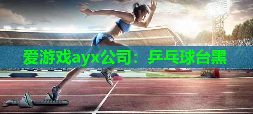 爱游戏ayx公司：乒乓球台黑