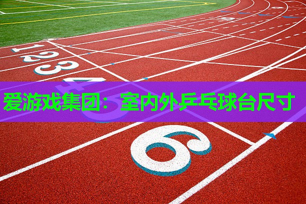 爱游戏集团：室内外乒乓球台尺寸
