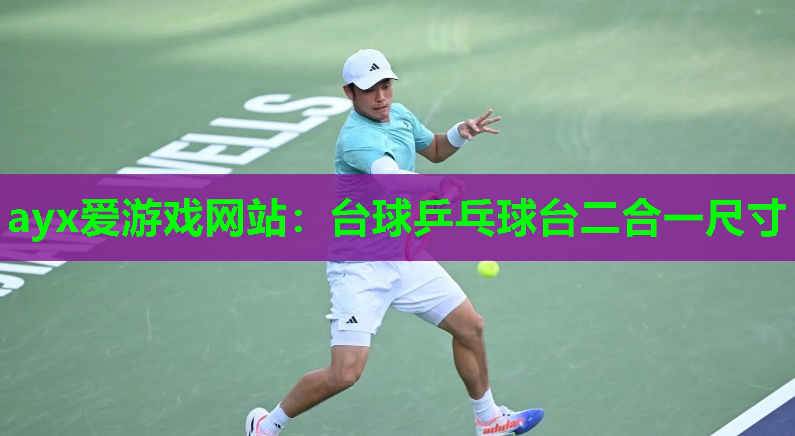 ayx爱游戏网站：台球乒乓球台二合一尺寸