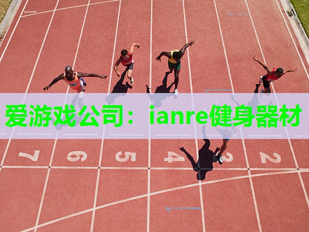 爱游戏公司：ianre健身器材