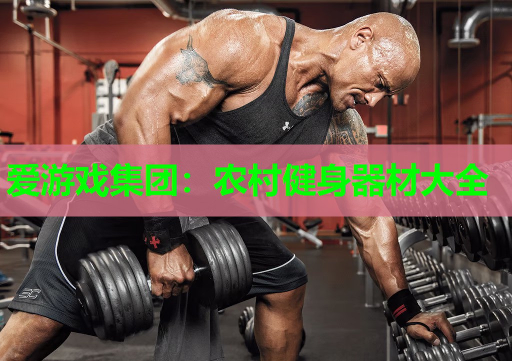 爱游戏集团：农村健身器材大全