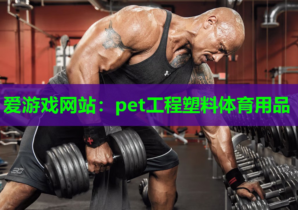 爱游戏网站：pet工程塑料体育用品