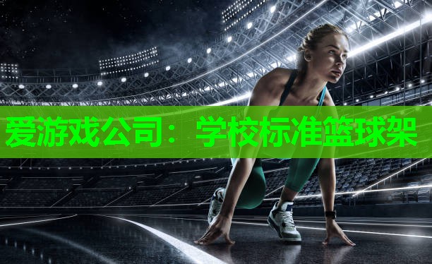 爱游戏公司：学校标准篮球架