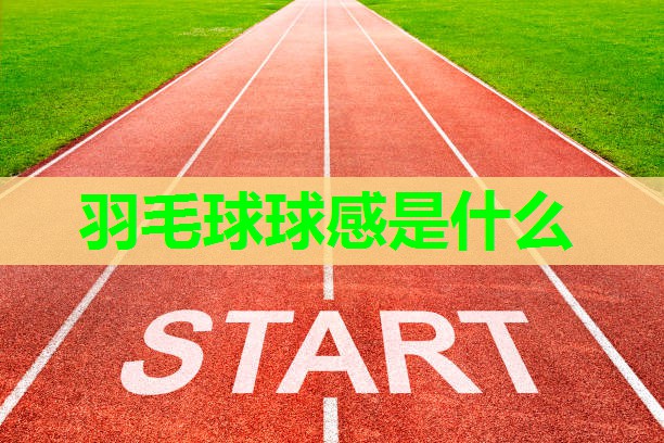 羽毛球球感是什么