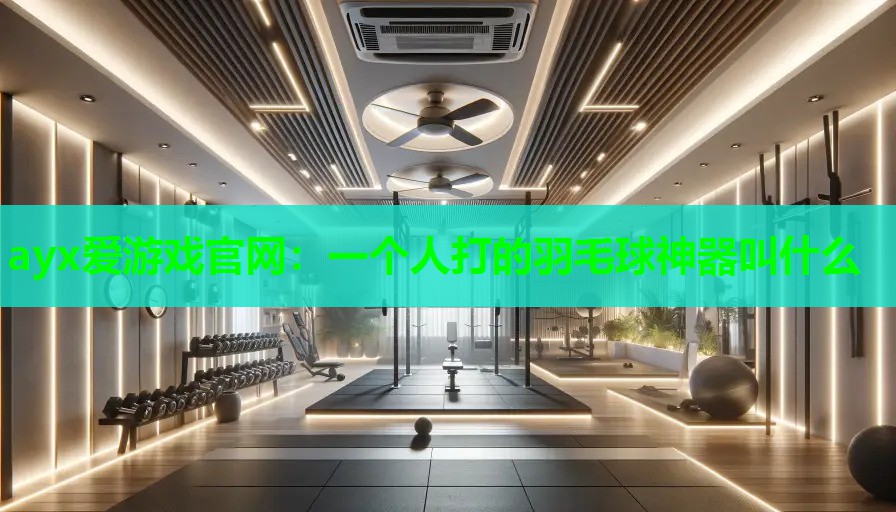 ayx爱游戏官网：一个人打的羽毛球神器叫什么