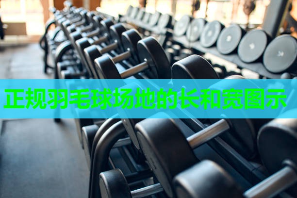 正规羽毛球场地的长和宽图示