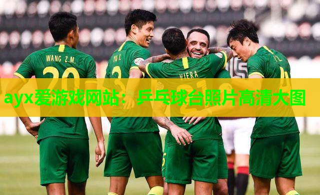 ayx爱游戏网站：乒乓球台照片高清大图