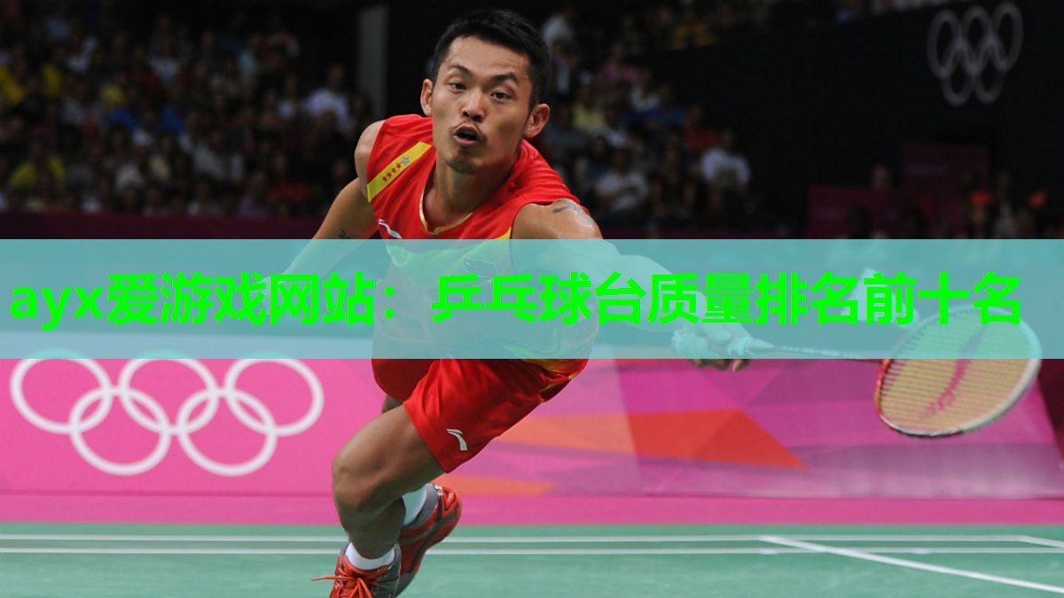 ayx爱游戏网站：乒乓球台质量排名前十名