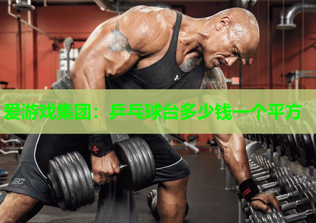 爱游戏集团：乒乓球台多少钱一个平方