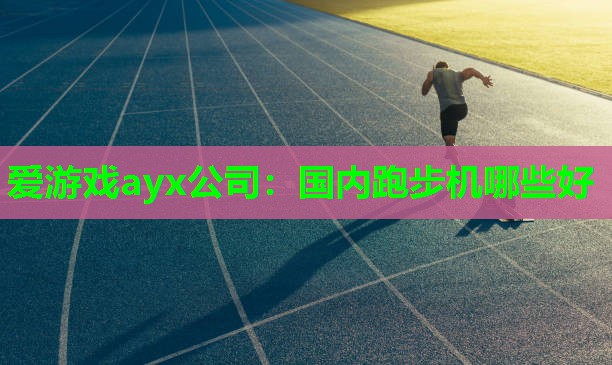 爱游戏ayx公司：国内跑步机哪些好