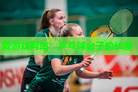 爱游戏网站：乒乓球台子的长度