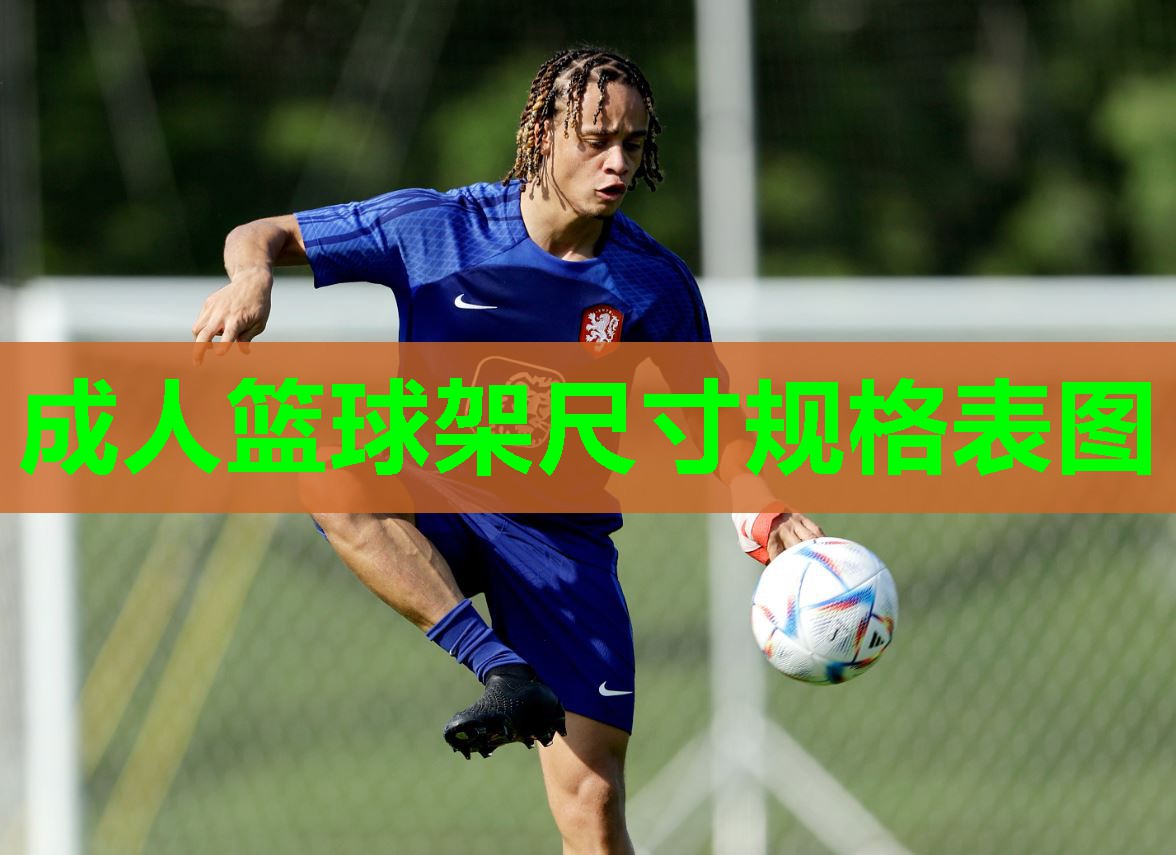 成人篮球架尺寸规格表图