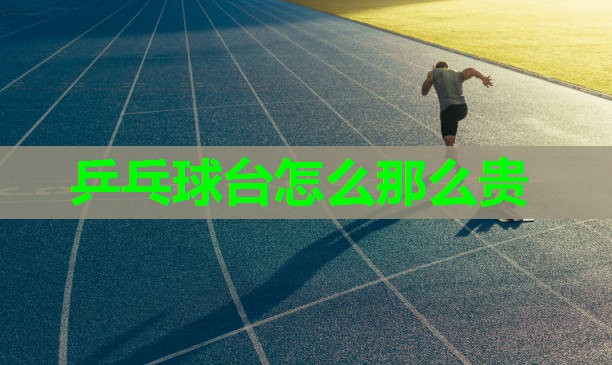 乒乓球台怎么那么贵