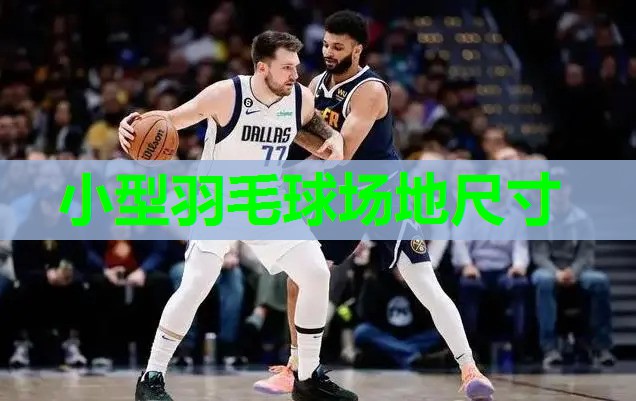 小型羽毛球场地尺寸