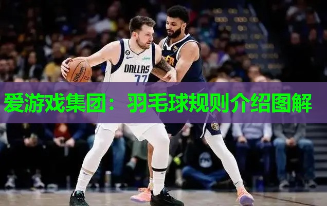 爱游戏集团：羽毛球规则介绍图解