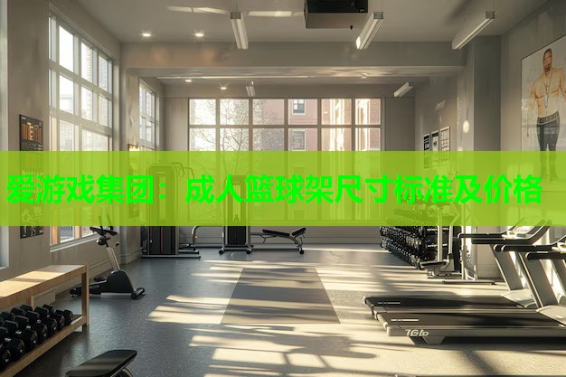 爱游戏集团：成人篮球架尺寸标准及价格