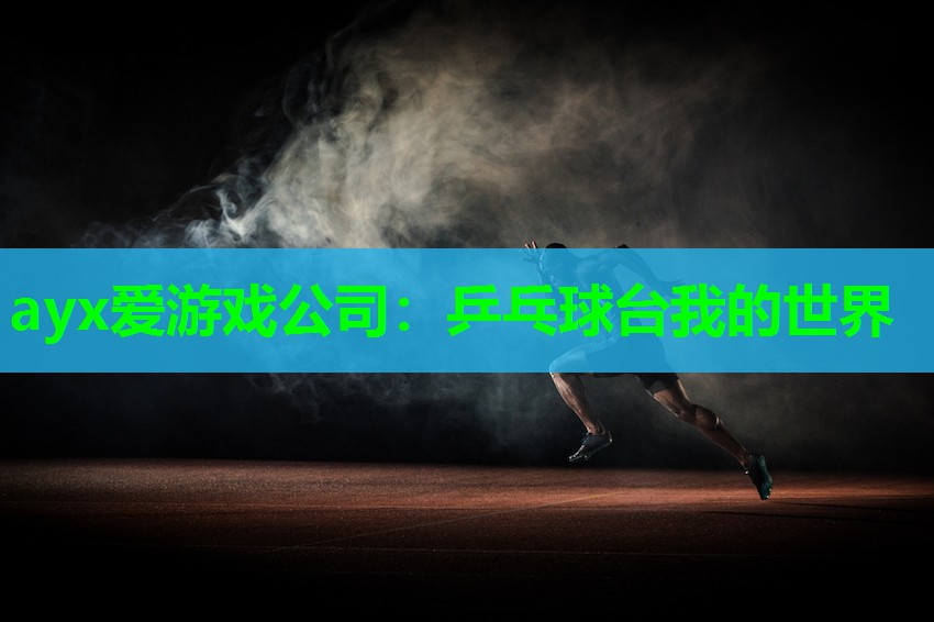 乒乓球台我的世界