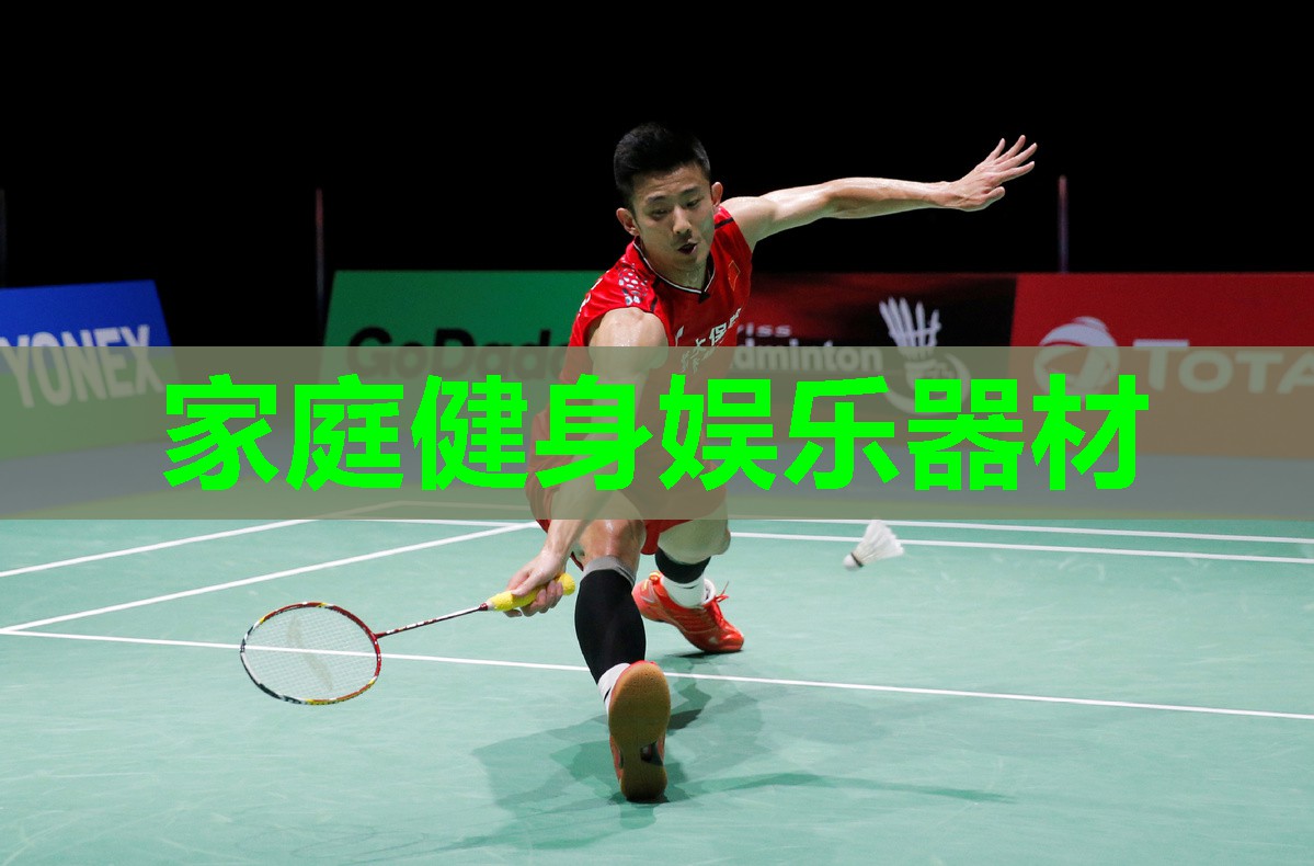 家庭健身娱乐器材 家庭健身娱乐器材