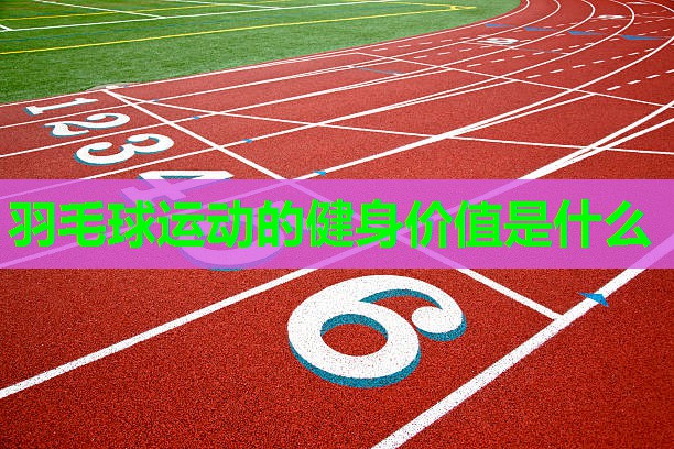 羽毛球运动的健身价值是什么