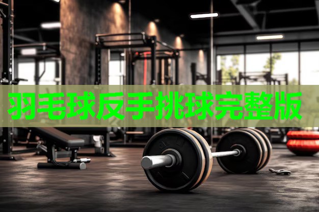 羽毛球反手挑球完整版