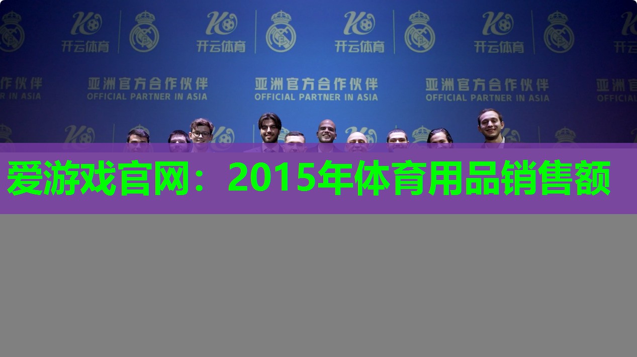 2015年体育用品销售额