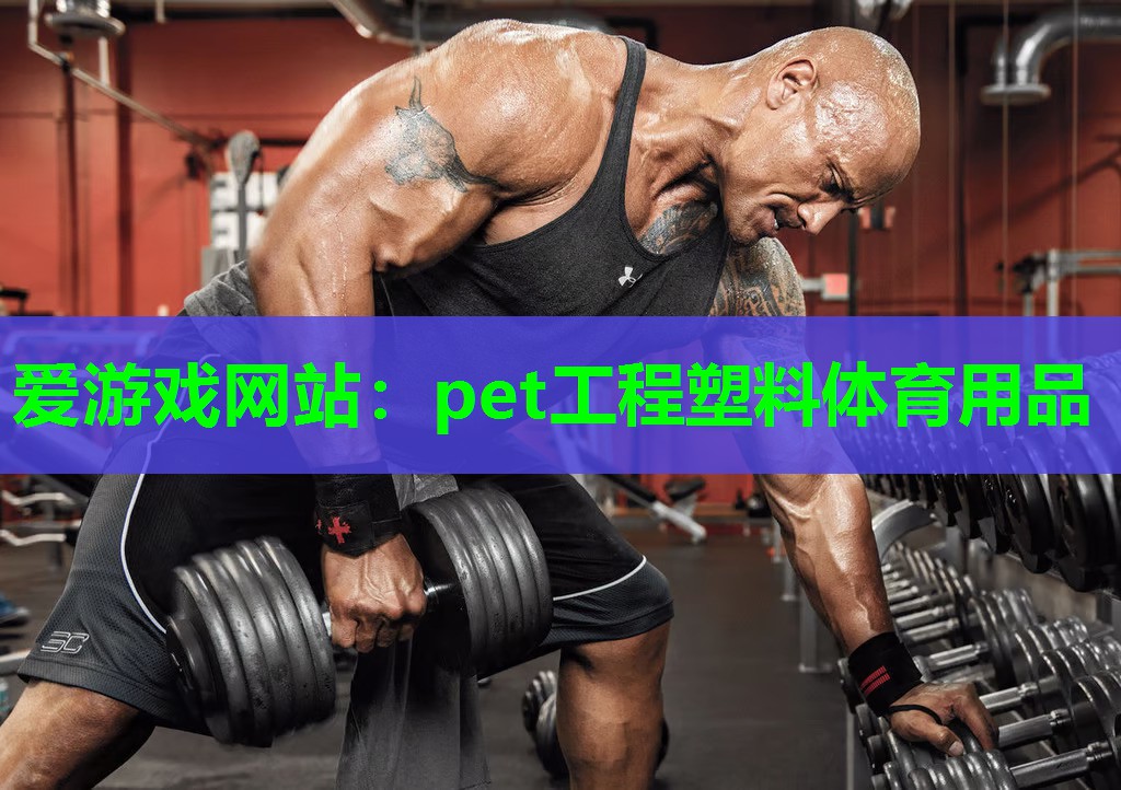 pet工程塑料体育用品