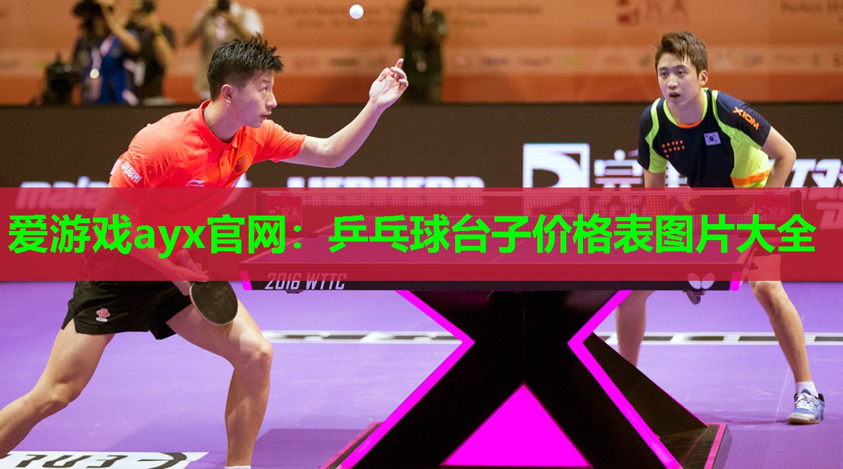 乒乓球台子价格表图片大全