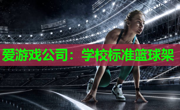 学校标准篮球架