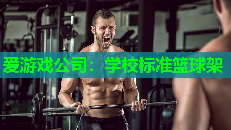 学校标准篮球架