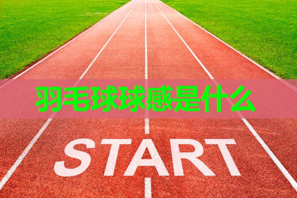 羽毛球球感是什么