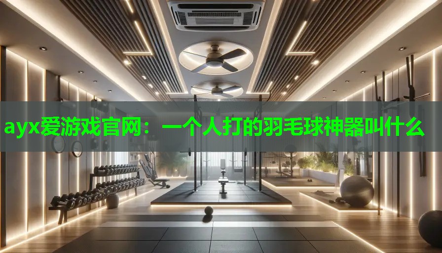 一个人打的羽毛球神器叫什么