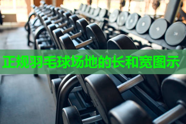 正规羽毛球场地的长和宽图示
