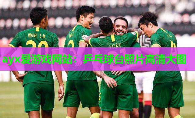 乒乓球台照片高清大图