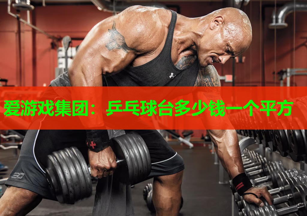 乒乓球台多少钱一个平方