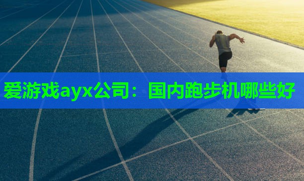 国内跑步机哪些好