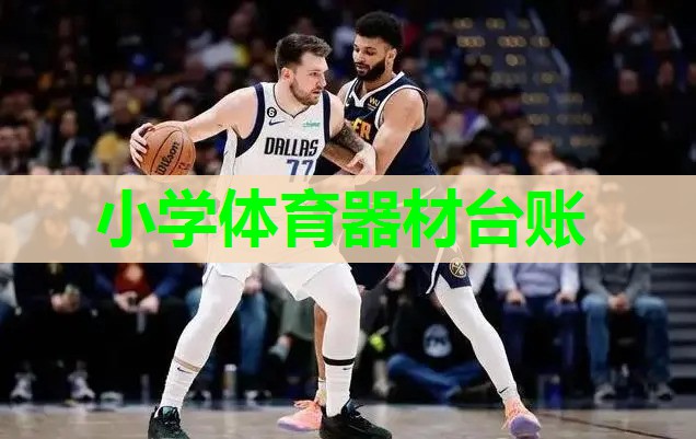 小学体育器材台账