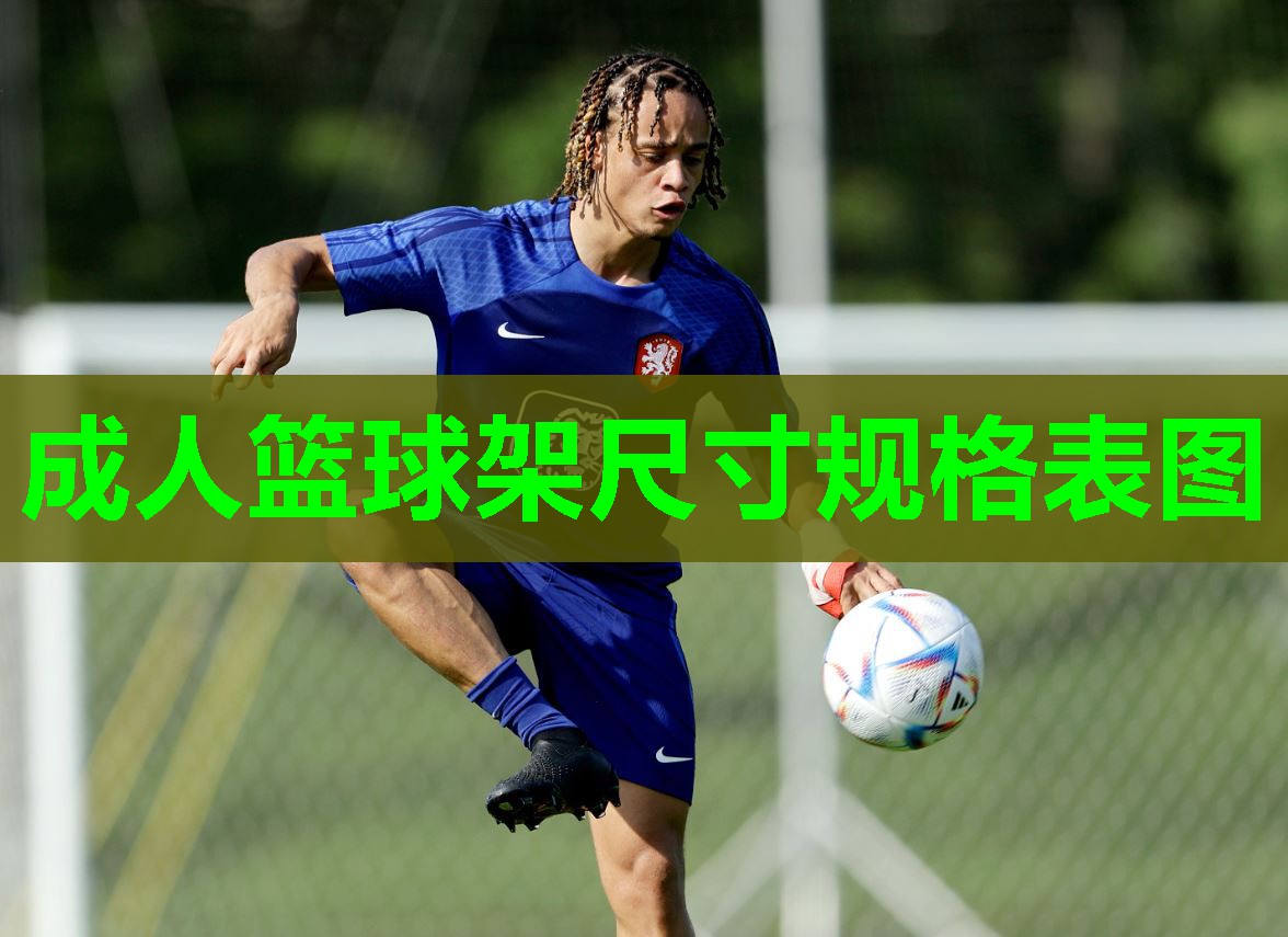 成人篮球架尺寸规格表图