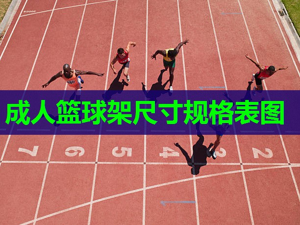 成人篮球架尺寸规格表图