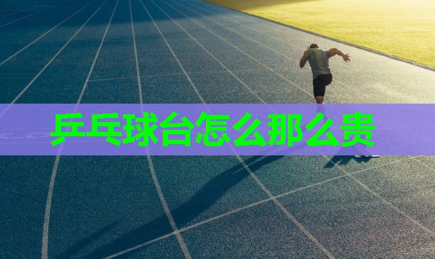 乒乓球台怎么那么贵