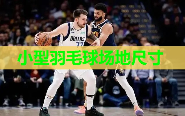 小型羽毛球场地尺寸