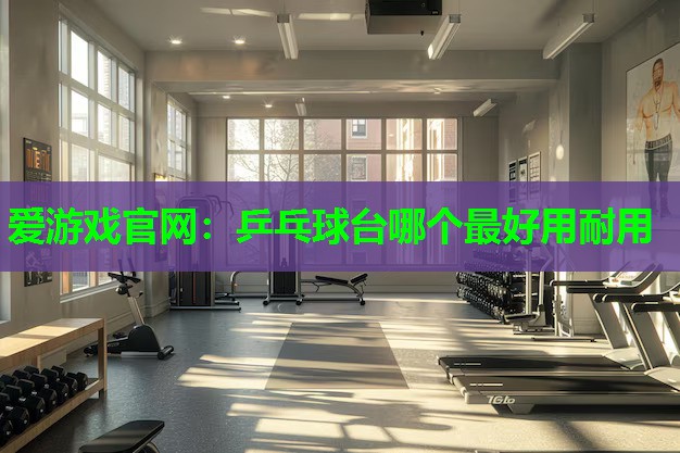 乒乓球台哪个最好用耐用