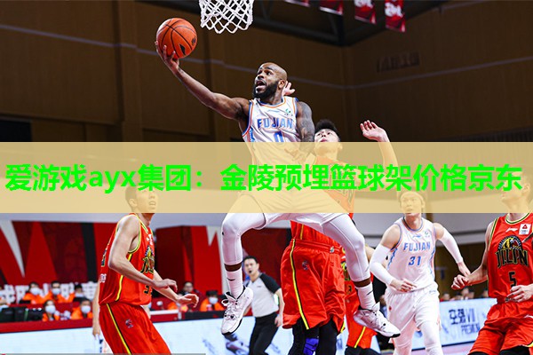 金陵预埋篮球架价格京东
