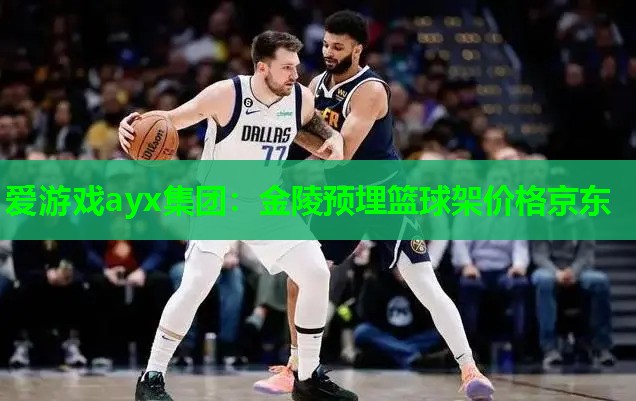 金陵预埋篮球架价格京东