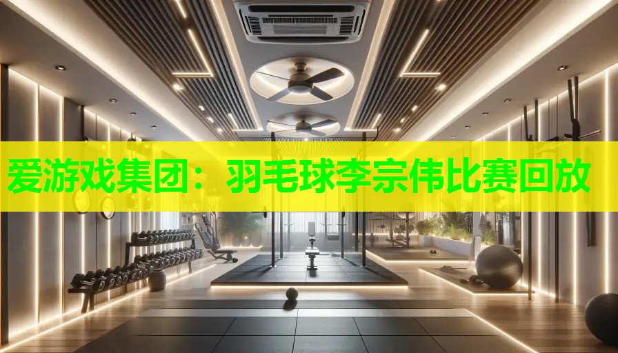 羽毛球李宗伟比赛回放