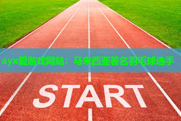 马来西亚著名羽毛球选手