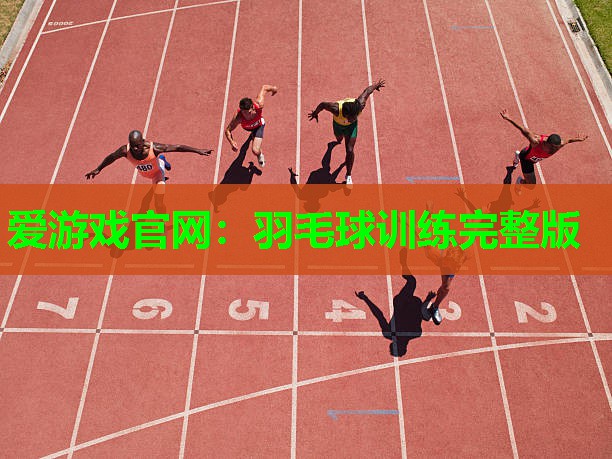 羽毛球训练完整版