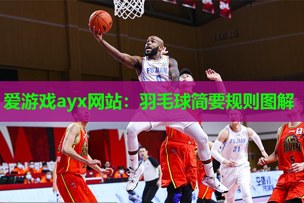 羽毛球简要规则图解
