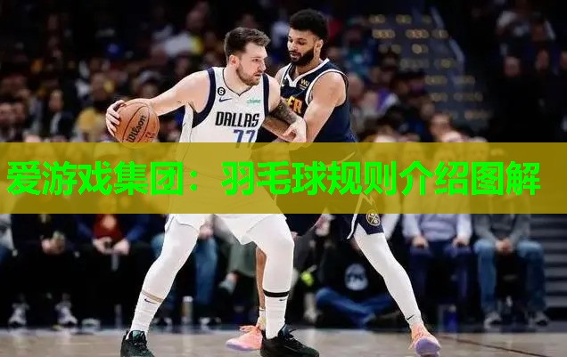 羽毛球规则介绍图解